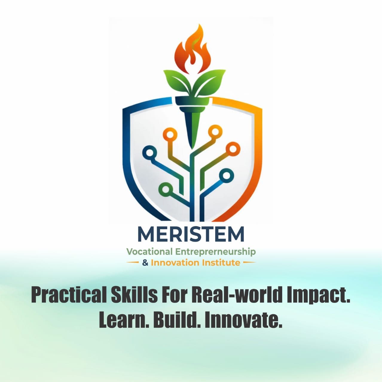 Meristem VEII